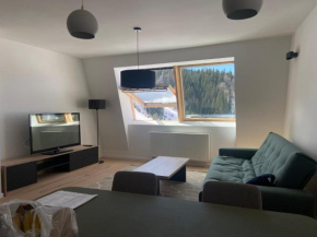 Penthouse Eleni - Olimpijska Kuca Jahorina
